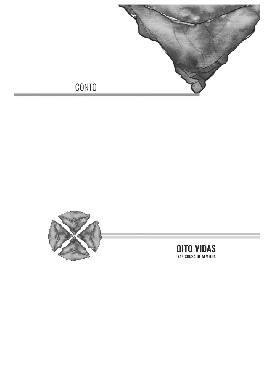 VTEM booklet