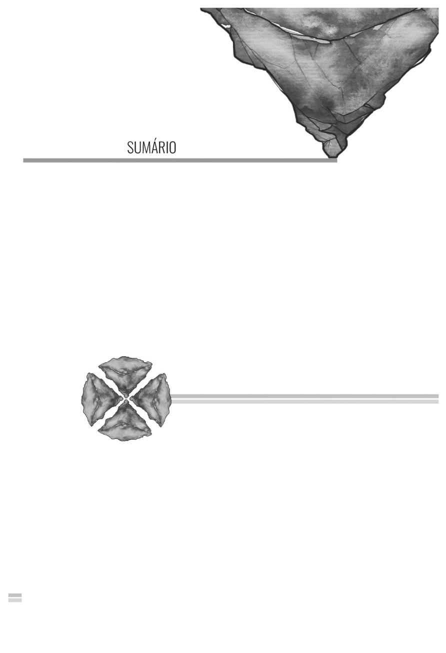 VTEM booklet